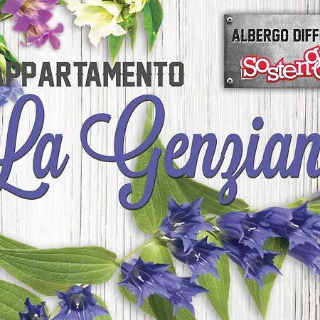 Diffuso Sostengo 펜션 *